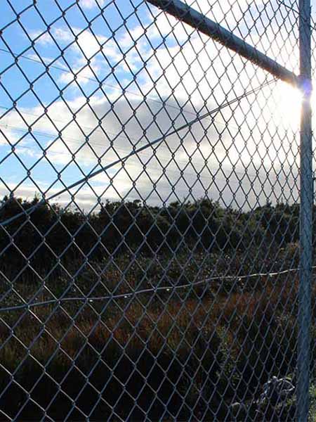 Chain link fence